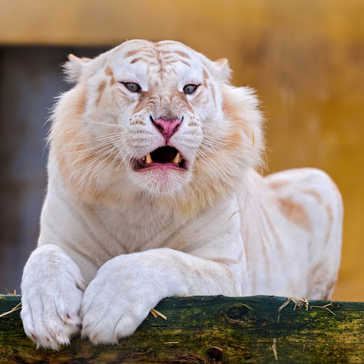 Hd-152799-ascw152799