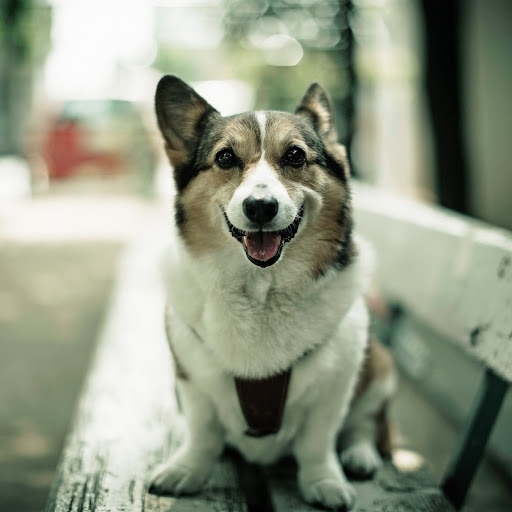 Hd-145412-ascw145412