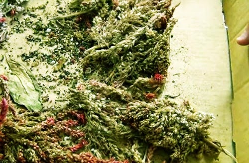 [clip_image004%255B3%255D.jpg]