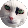 m g m g