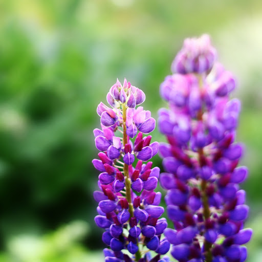 Hd-163894-ascw163894