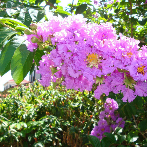 Hd-150522-ascw150522