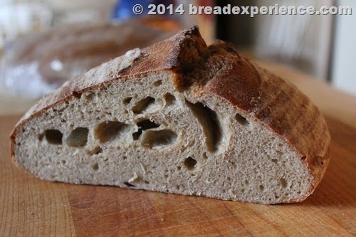 bread-sprouted-flour_801