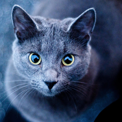 Hd-177812-ascw177812