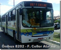 onibus 8202