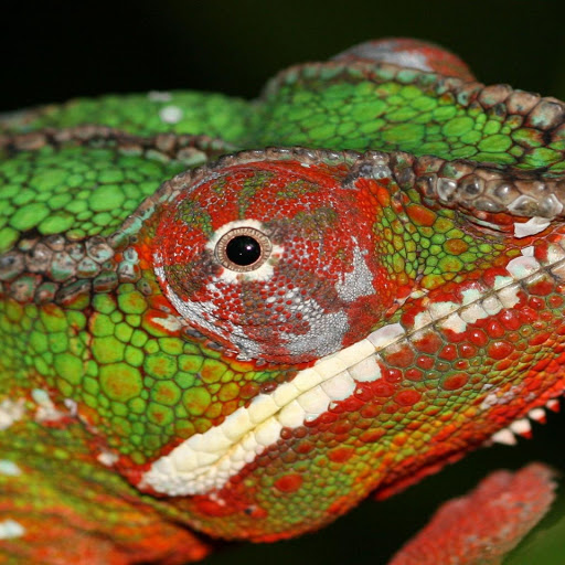 Hd-141865-ascw141865