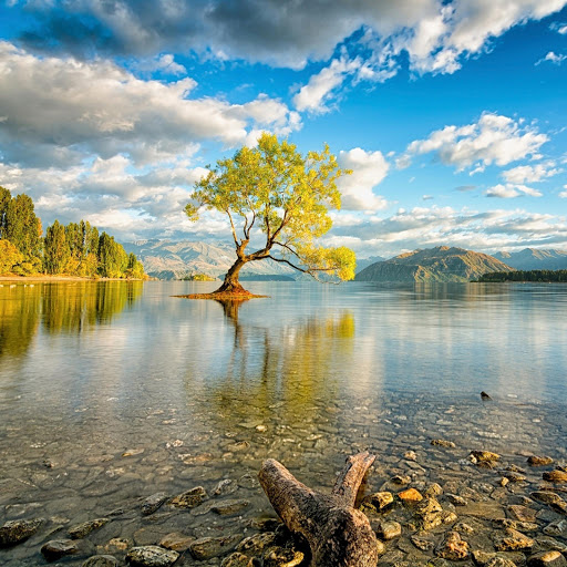 Hd-155536-ascw155536