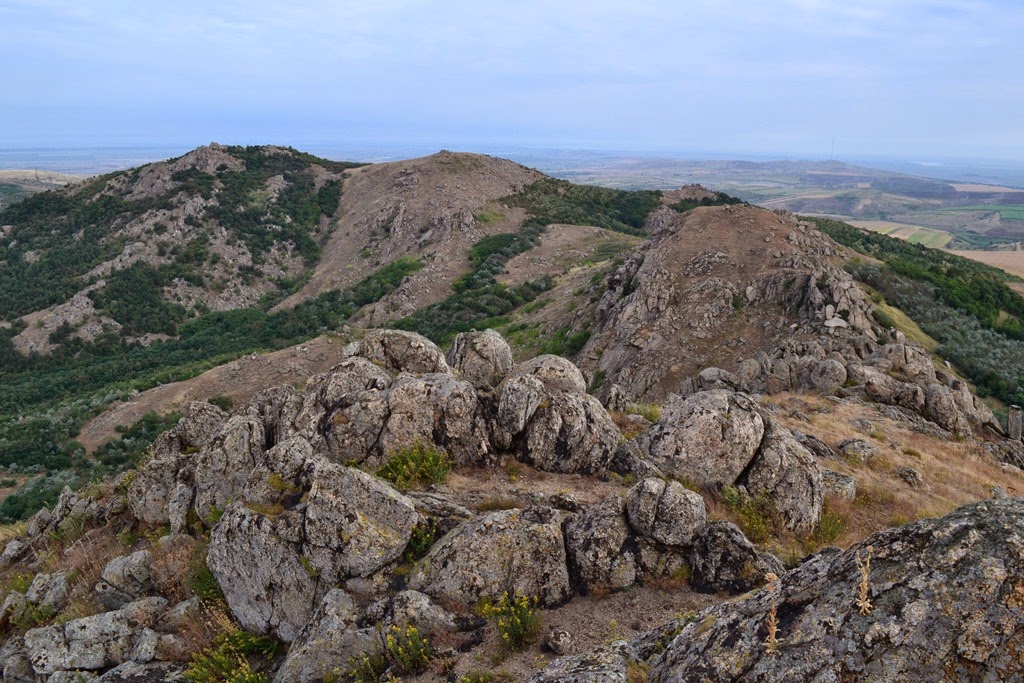 [DSC_59003.jpg]