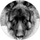Image Google de etienne herelle