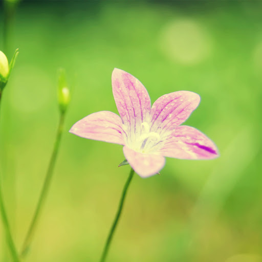 Hd-136952-ascw136952