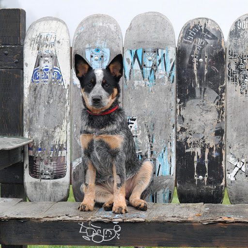 Hd-158311-ascw158311