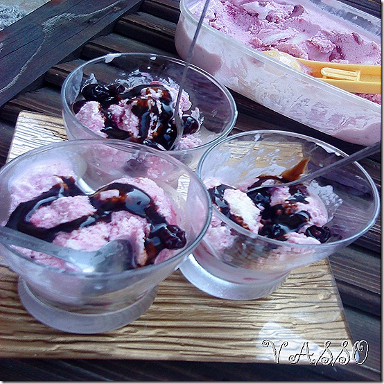 frozen jogurt86
