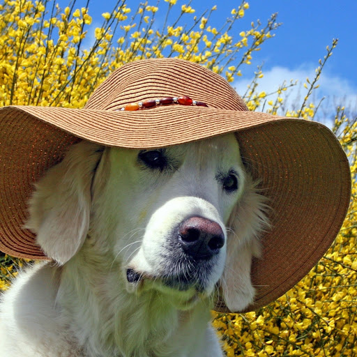 Hd-139312-ascw139312