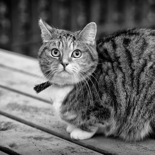 Hd-184917-ascw184917