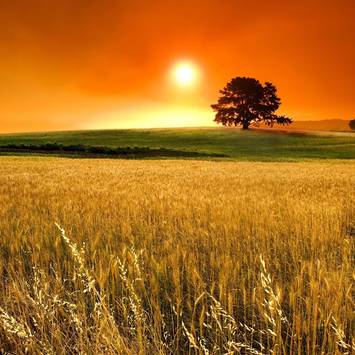 Hd-163902-ascw163902