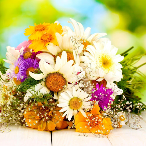 Hd-177455-ascw177455