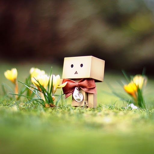 Hd-146139-ascw146139