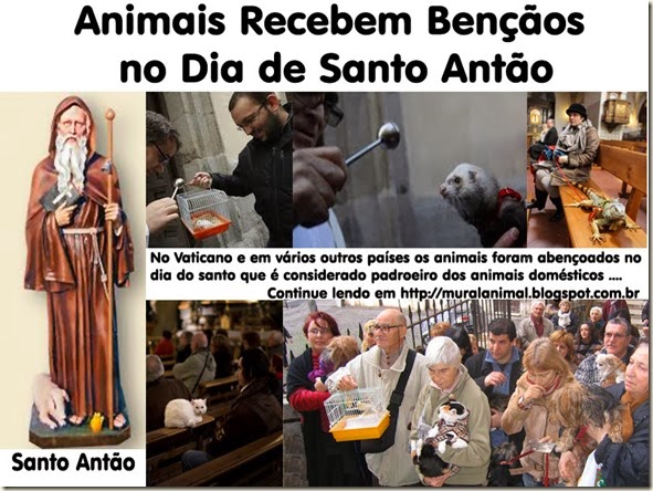 animais-santo_antao