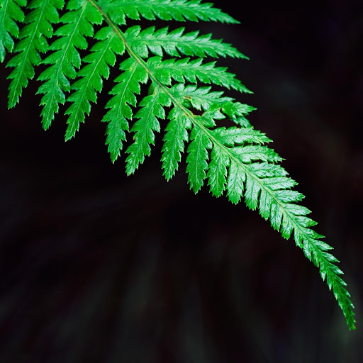 Hd-174740-ascw174740