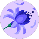 Benedetta Zancla profile picture