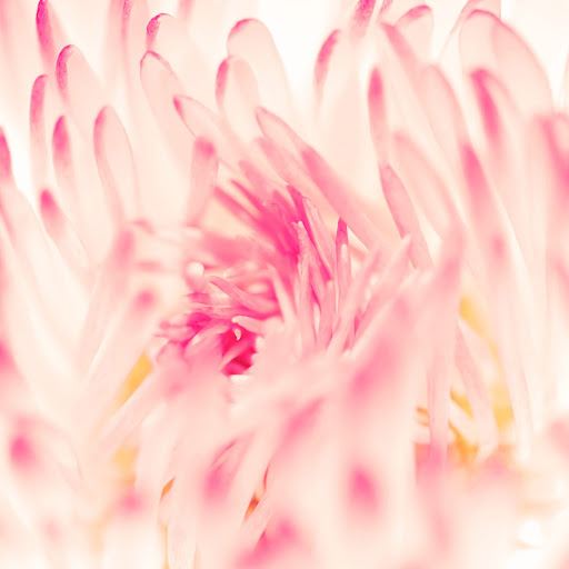 Hd-136407-ascw136407