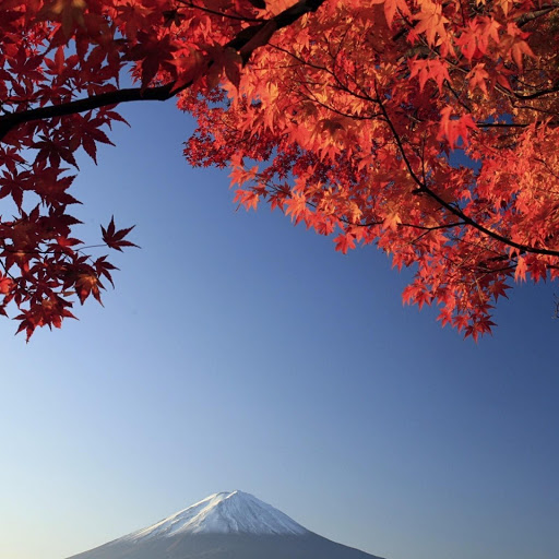 Hd-142901-ascw142901