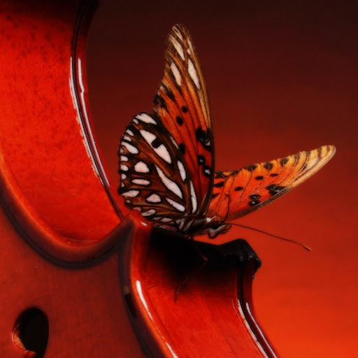 Hd-158237-ascw158237