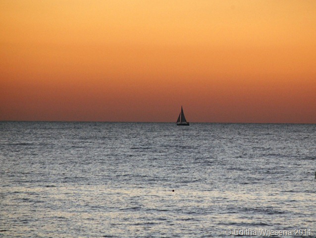 DSC_0854 DSC_0854