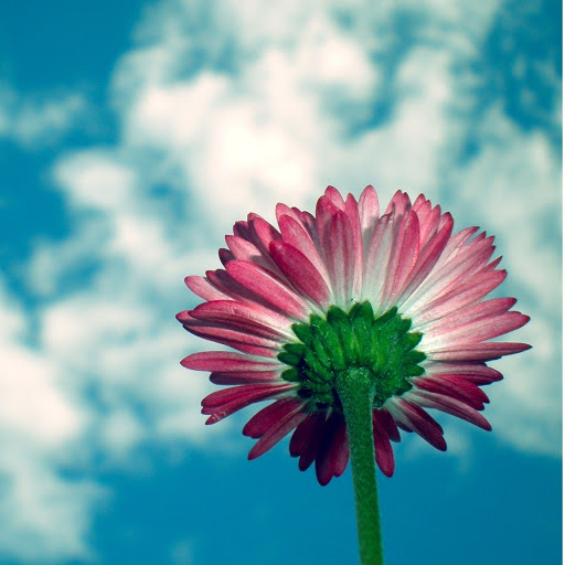 Hd-162940-ascw162940