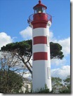 IMG_5334 IMG_5334