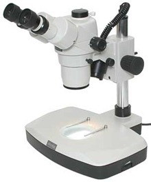 Microscópio Estéreo