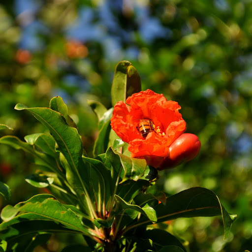 Hd-140681-ascw140681