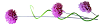 de%252520novo%252520lll.png