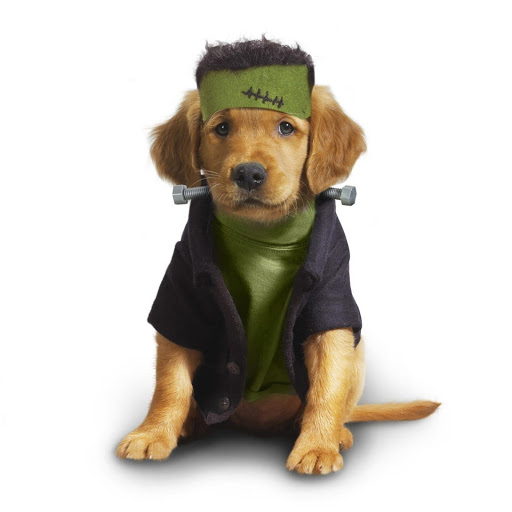 Hd-158944-ascw158944