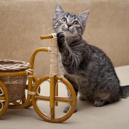 Hd-179084-ascw179084