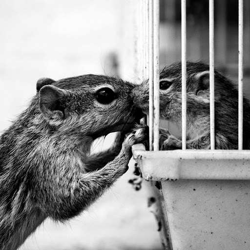 Hd-157184-ascw157184