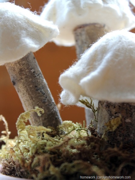 Felt & White Birch Mushrooms via homework (5)
