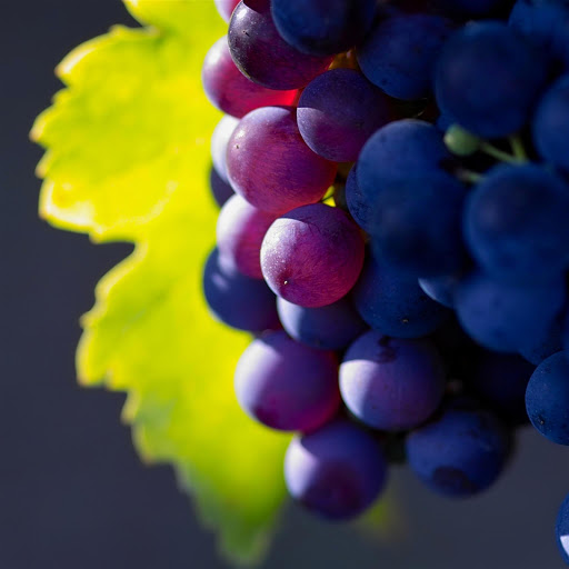 Hd-133999-ascw133999