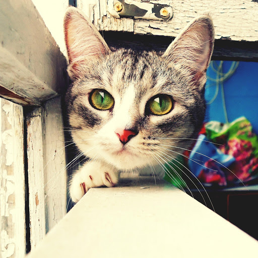 Hd-182607-ascw182607