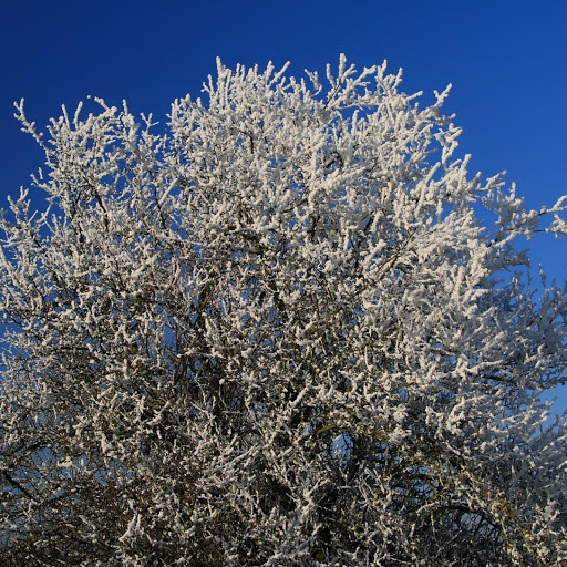 Hd-131670-ascw131670