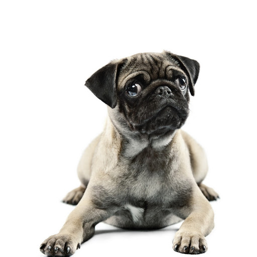 Hd-144272-ascw144272