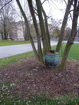 027 Träd i tunna i en park vid Gleisdreieck