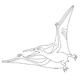 dibujos-dinosaurios-colorear-2.gif.jpg