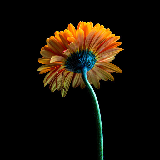 Hd-162944-ascw162944