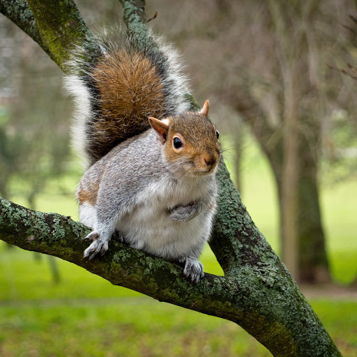 Hd-167236-ascw167236