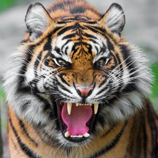 Hd-180357-ascw180357