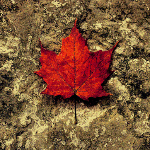 Hd-164000-ascw164000