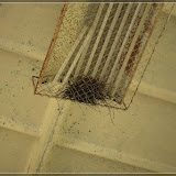 hier wohnen nur noch Vögel