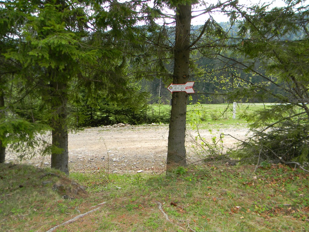 [DSCN75353.jpg]