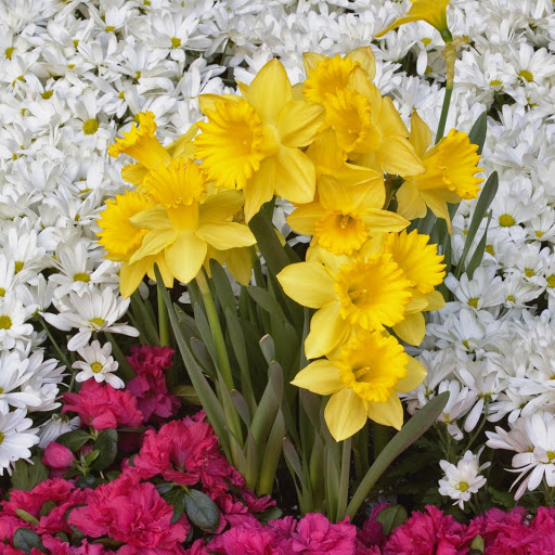 Hd-143911-ascw143911